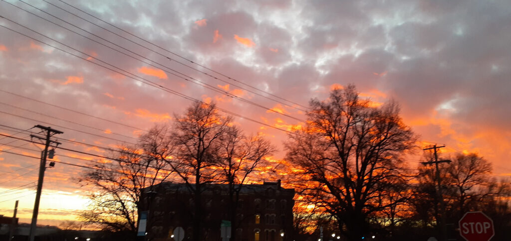 Sunset over building & winter trees