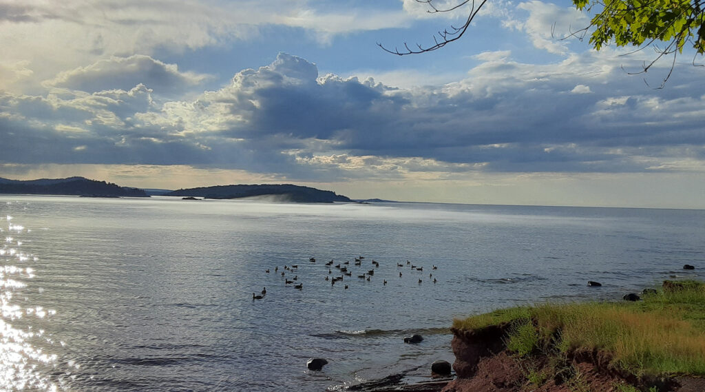 Ducks & clouds on Lake Superior